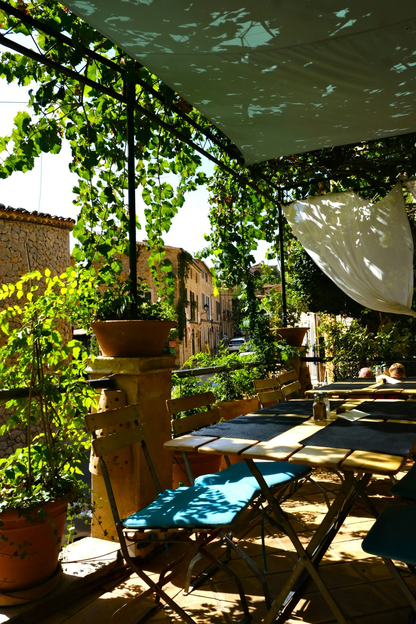 pergola végétale terrasse