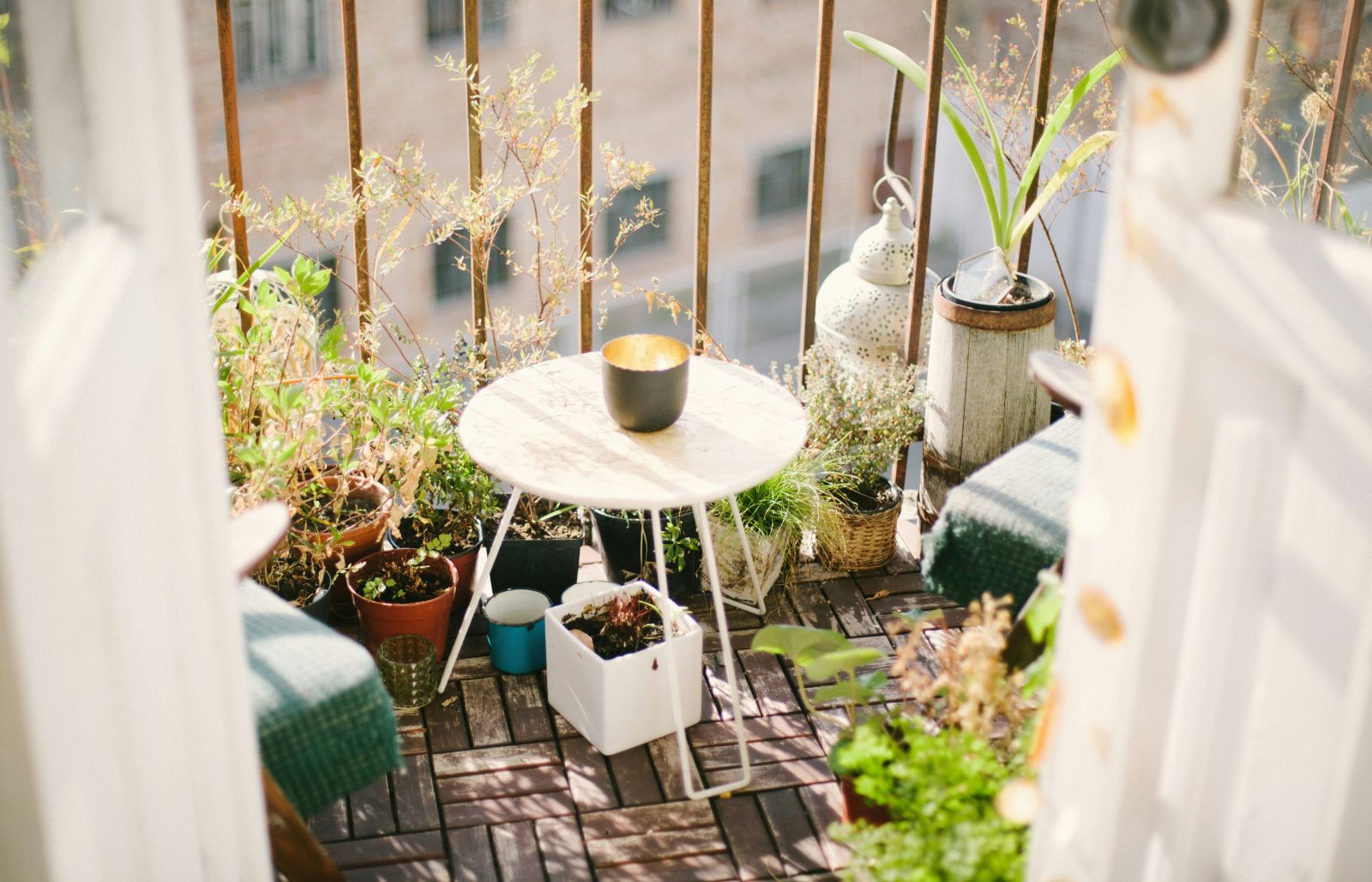 pots plantes extérieures